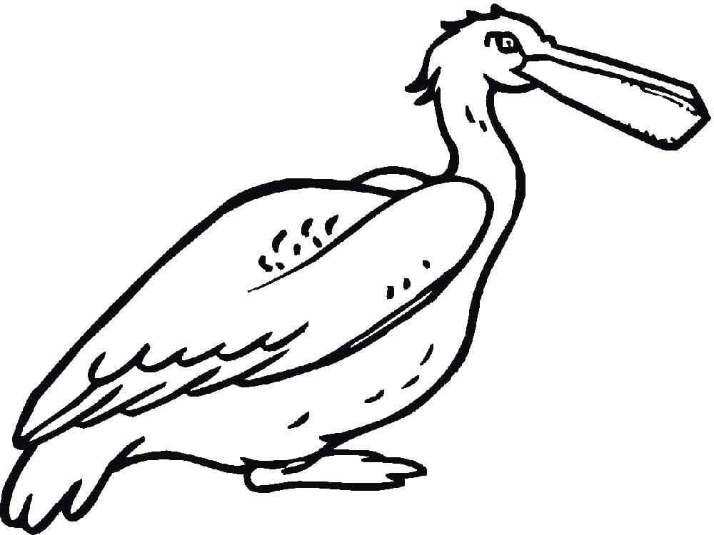 Desenho de Pelicano para Imprimir Download
