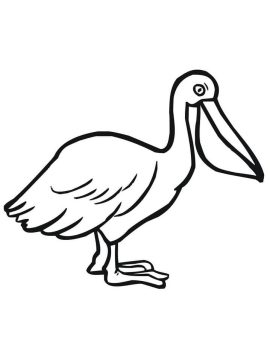 Desenho de Pelicano Pdf para Colorir grátis