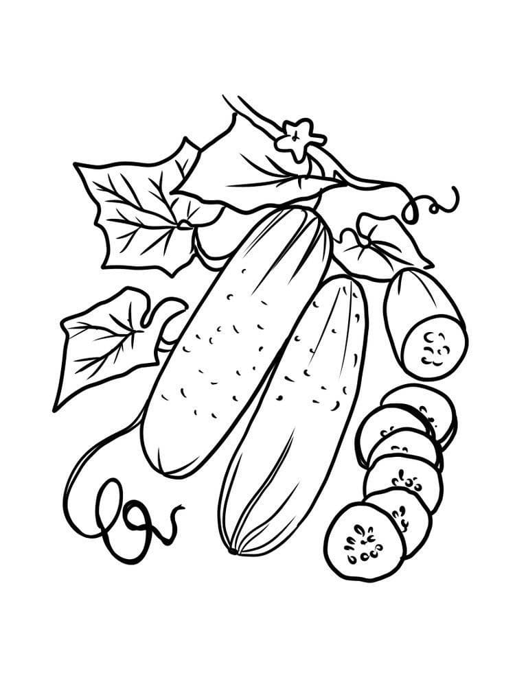 Desenho de Pepino para Colorir com Giz de Cera