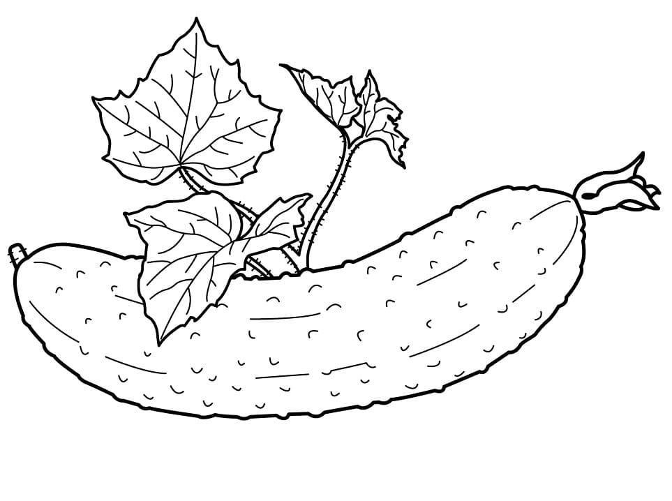 Desenho de Pepino para Colorir e Imprimir Pdf