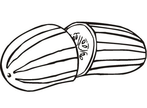Desenho de Pepino para Colorir Pdf