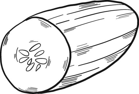 Desenho de Pepino para Colorir Tinta Guache