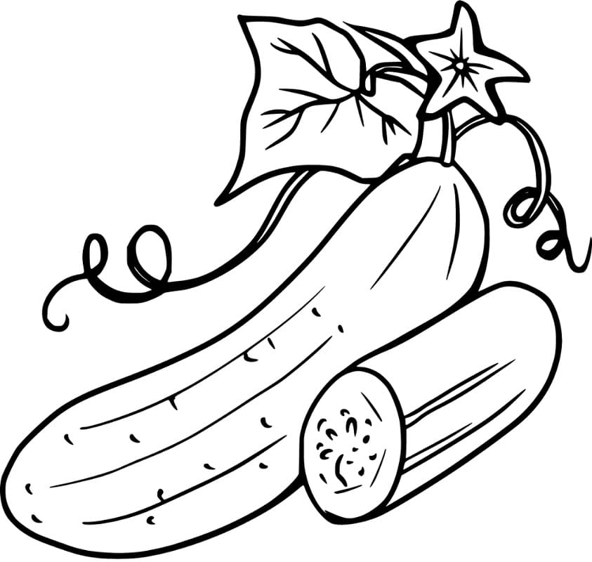 Desenho de Pepino Simples para Colorir