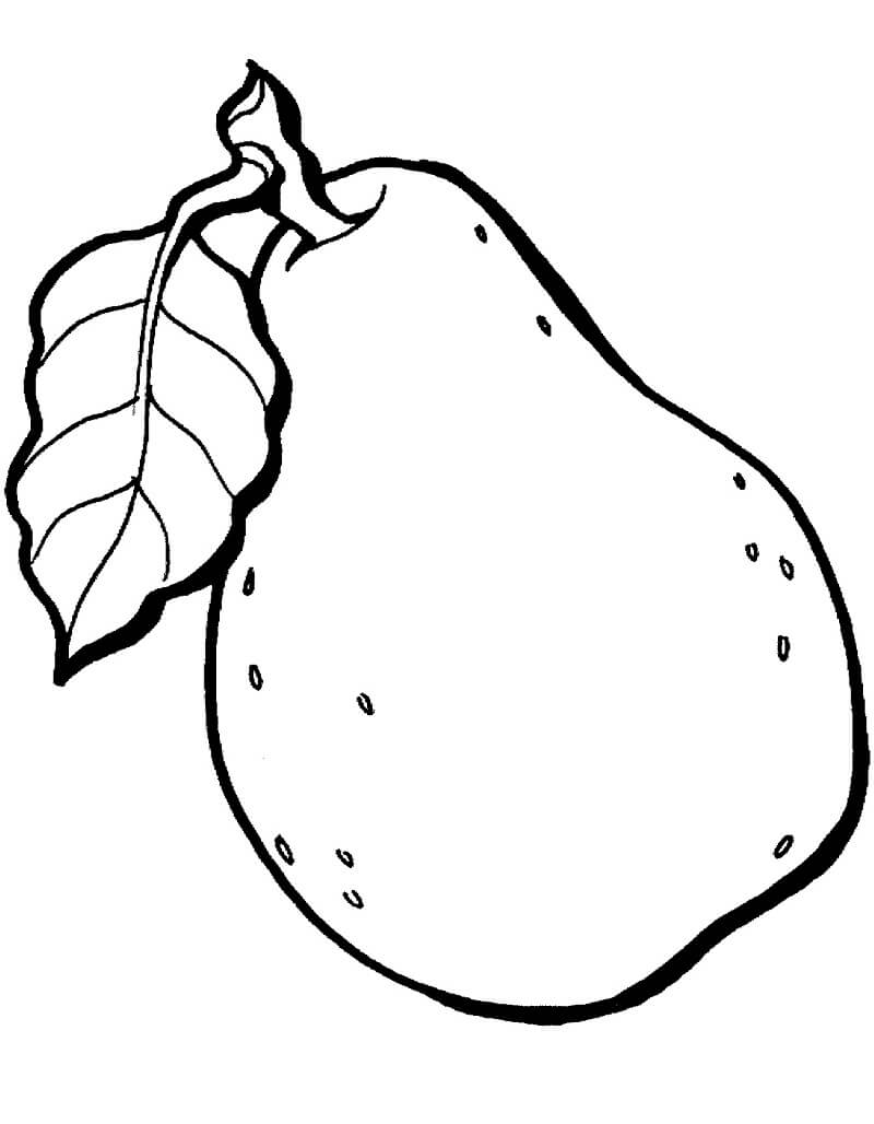 Desenho Pera Download Grátis para Colorir