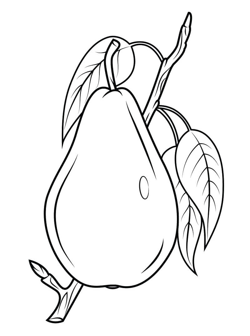 Desenho Pera Fruta para Colorir e Imprimir