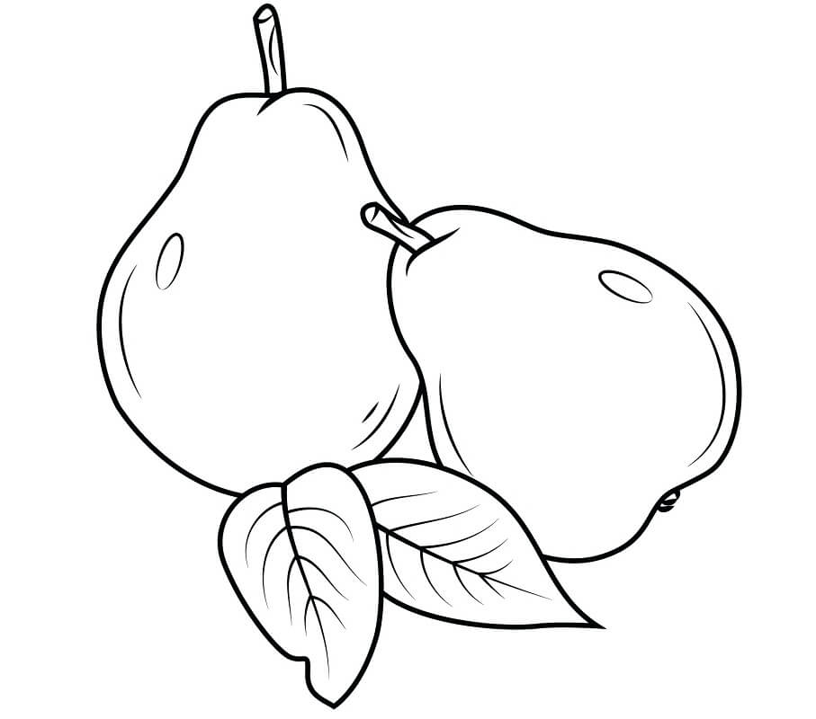 Desenho Pera Grátis para Colorir e Pintar