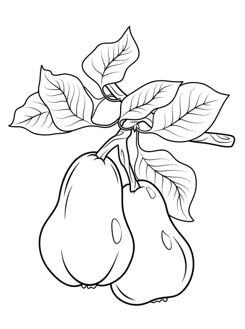 Desenho Pera Imprimivel para Colorir Crianças