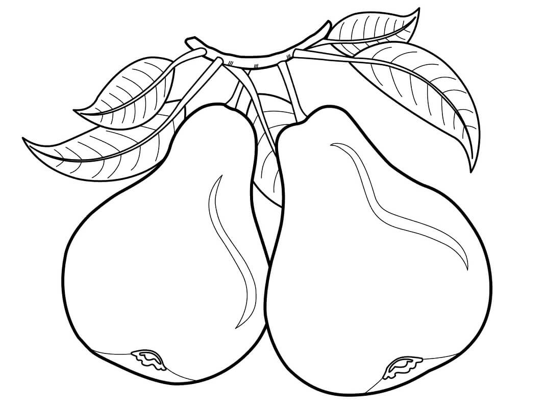 Desenho Pera para Colorir com Giz de Cera