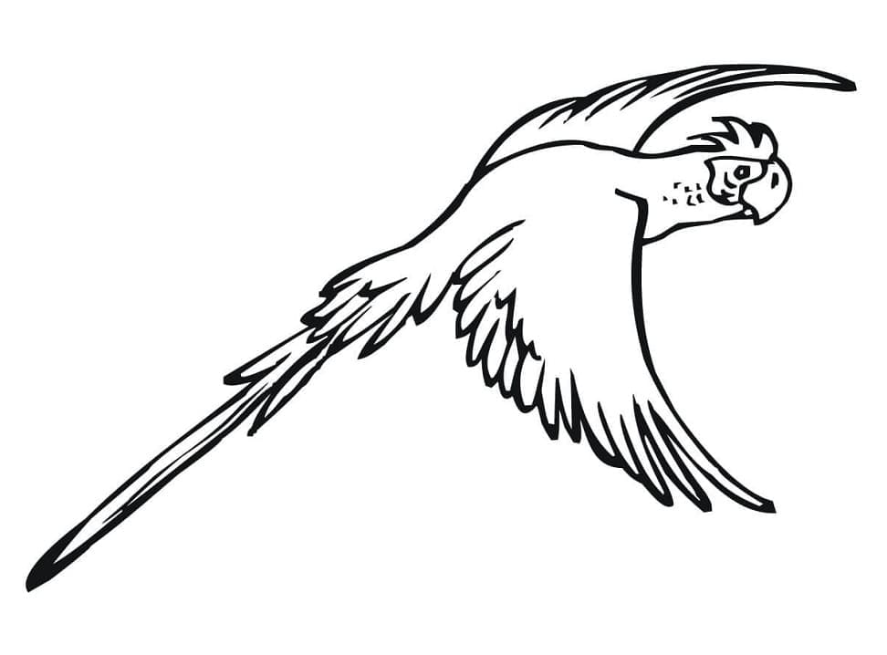 Desenho de Periquito Sentado no Galho para Colorir