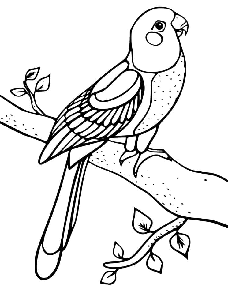 Desenho Periquito em uma Árvore para Colorir