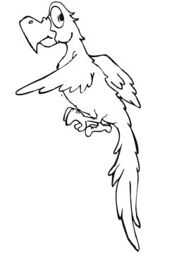 Desenho Periquito engraçado para Colorir