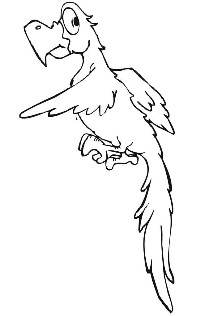 Desenho Periquito Engraçado para Colorir