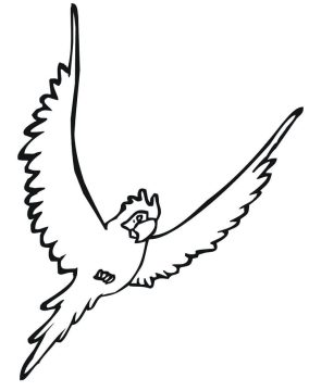 Desenho Periquito fácil para Colorir