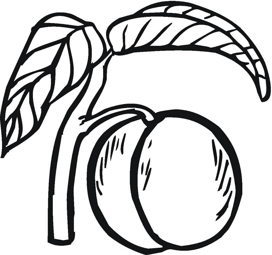 Desenho de Pêssego Download Grátis para Colorir