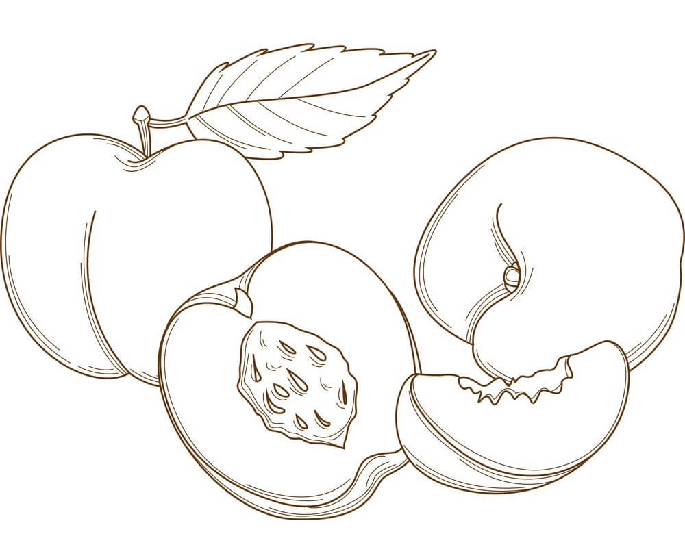 Desenho de Pêssego Fruta para Colorir e Baixar