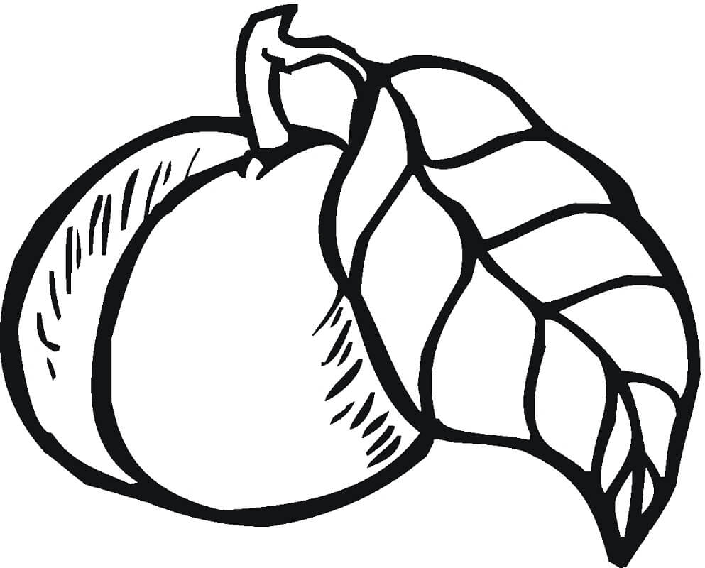 Desenho de Pêssego Fruta para Colorir e Imprimir