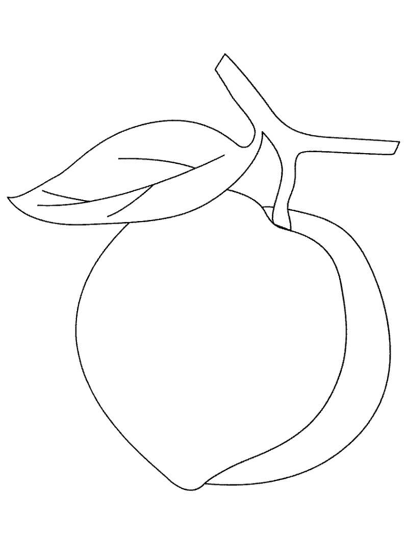 Desenho de Pêssego Fruta para Colorir Tinta Guache