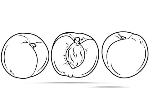 Desenho de pêssego para Colorir Desenho Imprimível