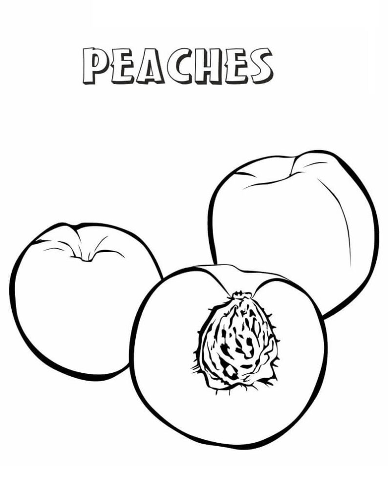 Desenho de Pêssego para Colorir Pintura Lápis de Cor