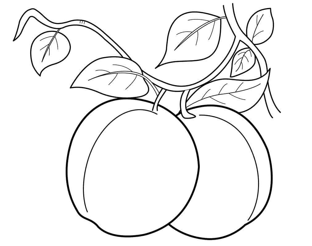 Desenho de Pêssego para Imprimir e Baixar