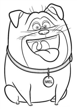 Desenho de Mel a Vida Secreta dos Nossos Bichos para Colorir