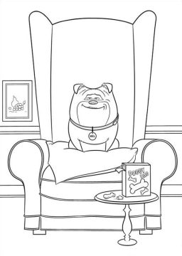 Desenho de Mel Sentada em Poltrona Sorrindo a Vida Secreta dos Nossos Bichos para Colorir
