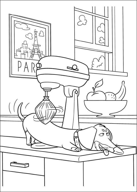 Desenho Buddy de Pets para Colorir