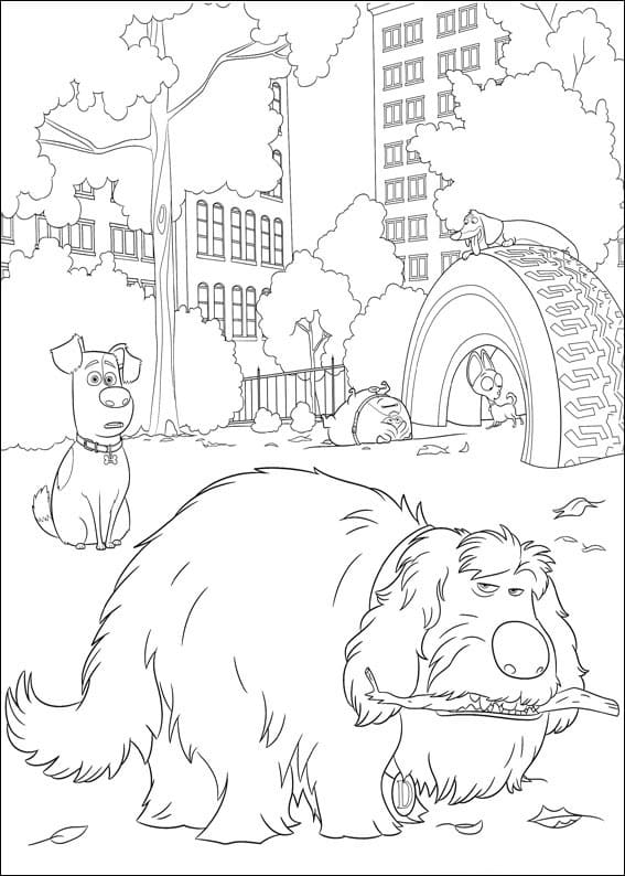 Desenho de Pets a Vida Secretá dos Bichos para Colorir Pdf