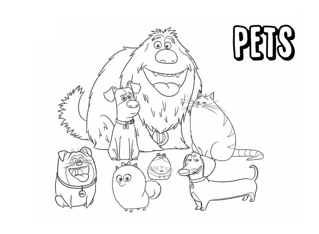 Desenho de Pets a Vida Secretá dos Bichos para Imprimir e Colorir