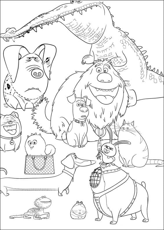 Desenho de Pets a Vida Secretá dos Bichos para Pintar com Lápis de Cor