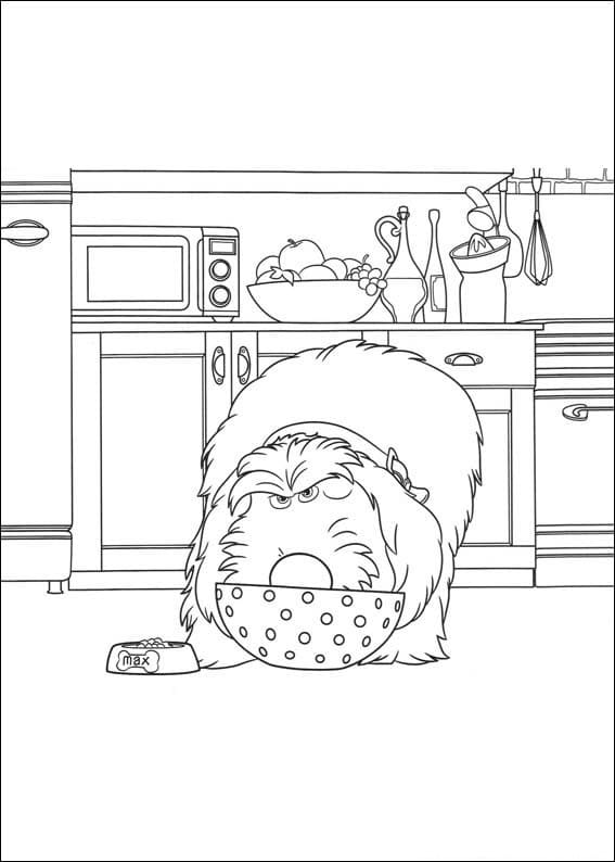 Desenho Duke de Pets para Colorir