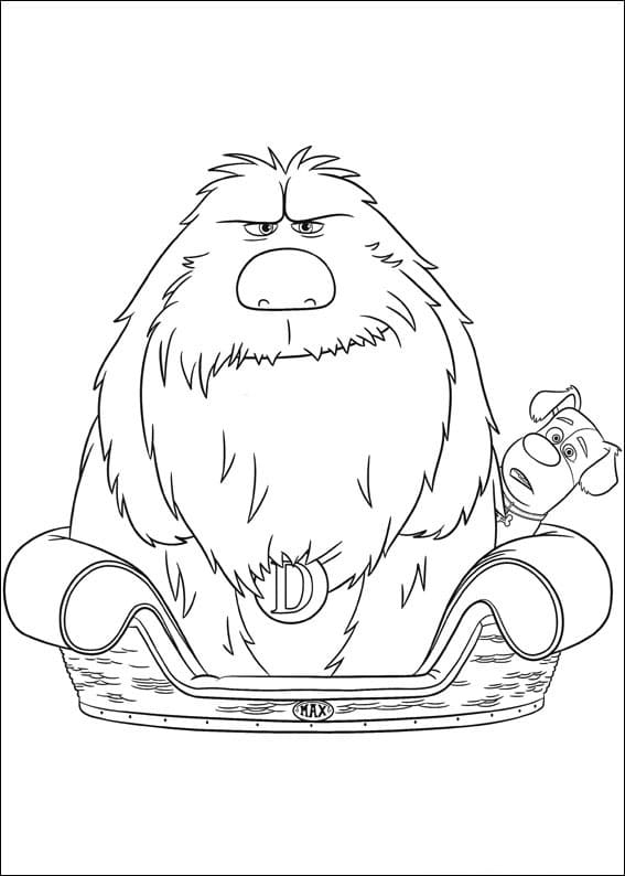 Desenho Duke e Max para Colorir