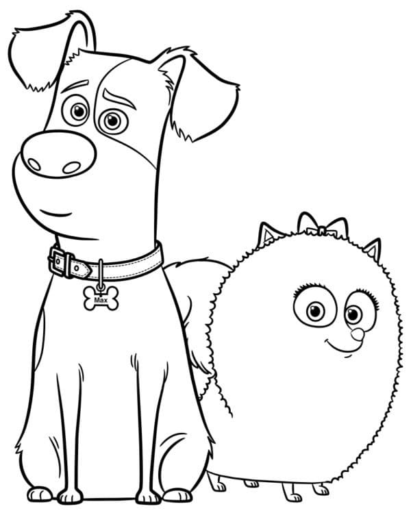 Desenho Gidget e Max para Colorir