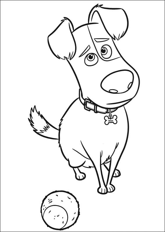 Desenho Max de Pets para Colorir