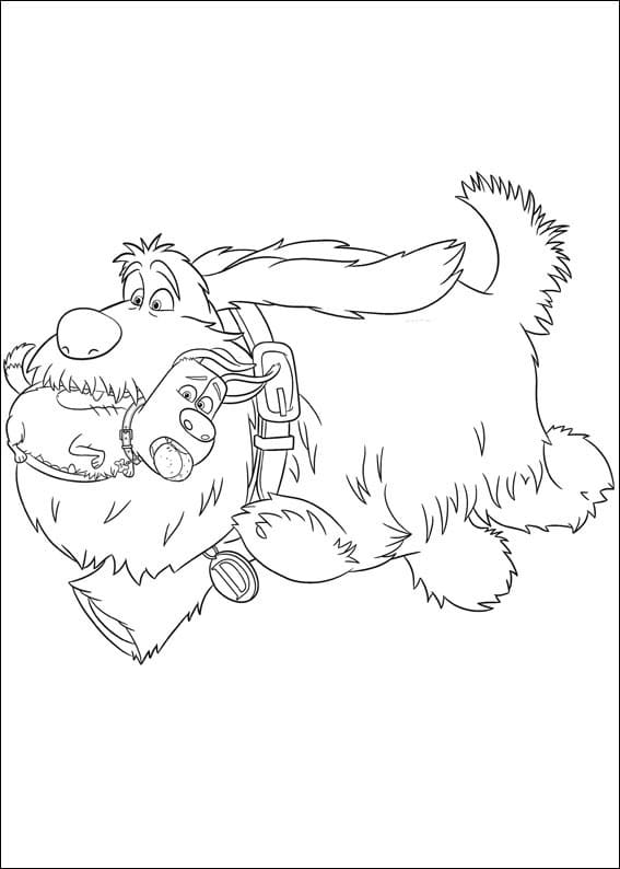 Desenho Max e Duke para Colorir