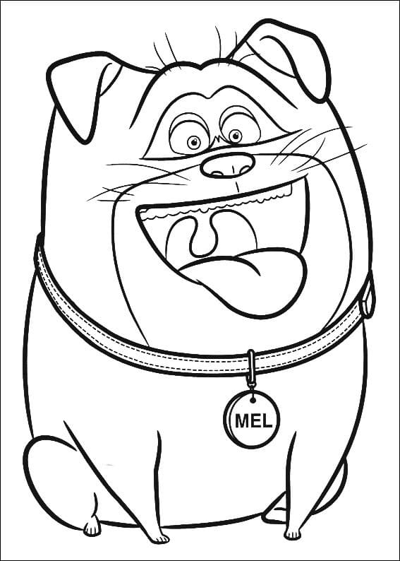 Desenho Mel de Pets para Colorir
