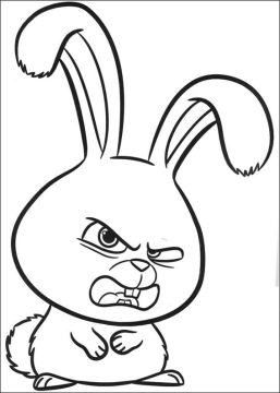 Desenho Snowball de Pets para Colorir