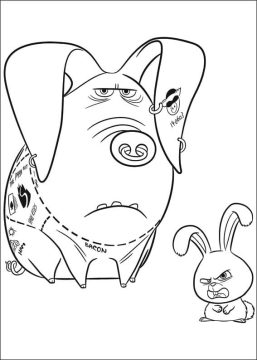 Desenho Snowball e Tattoo de Pets para Colorir