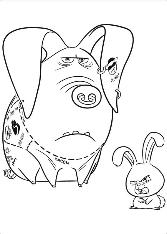 Desenho Snowball e Tattoo de Pets para Colorir