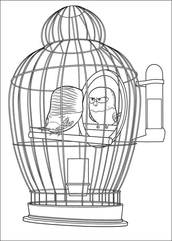 Desenho Sweetpea de Pets para Colorir