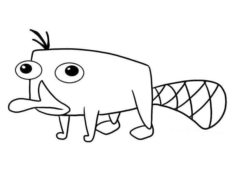Desenho de Perry o Ornitorrinco de Phineas e Ferb para Colorir