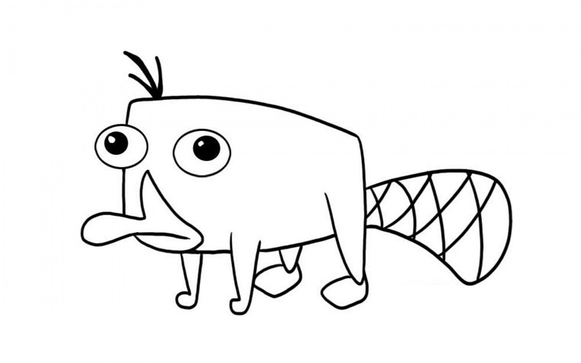 Desenho para Colorir do Perry