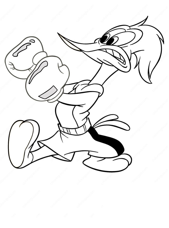 Desenho Picá Pau Boxe para Colorir