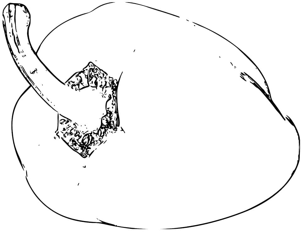 Desenho de Pimentão Pdf Imprimivel para Colorir