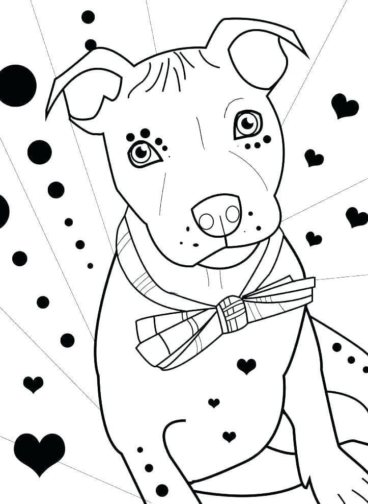 Desenho de Adorável Pitbull para Colorir