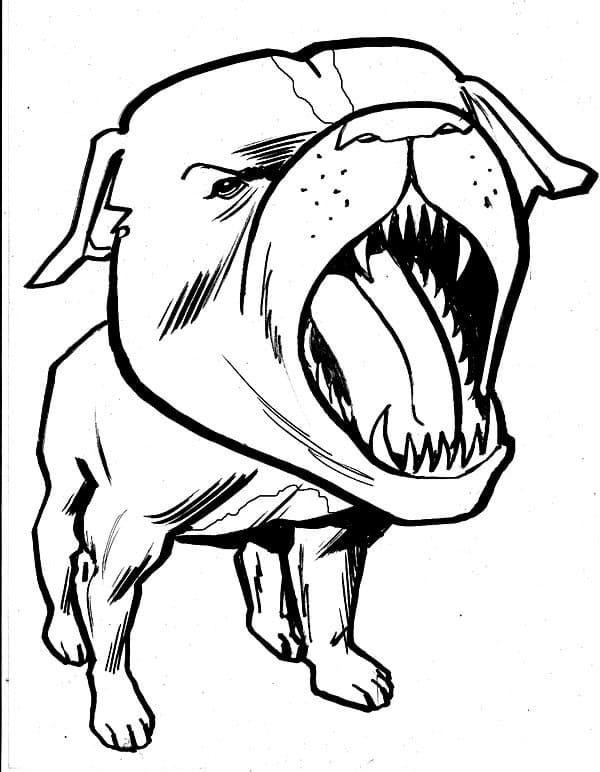 Desenho de Pequeno Pitbull para Colorir