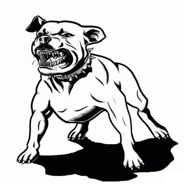 Desenho de Pitbull com Raiva para Colorir