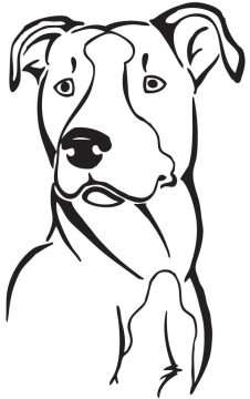 Desenho de Pitbull engraçado para Colorir
