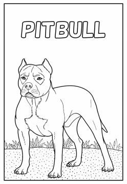 Desenho de Pitbull grátis para Colorir