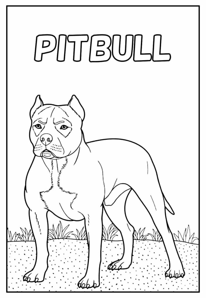 Desenho de Pitbull Grátis para Colorir